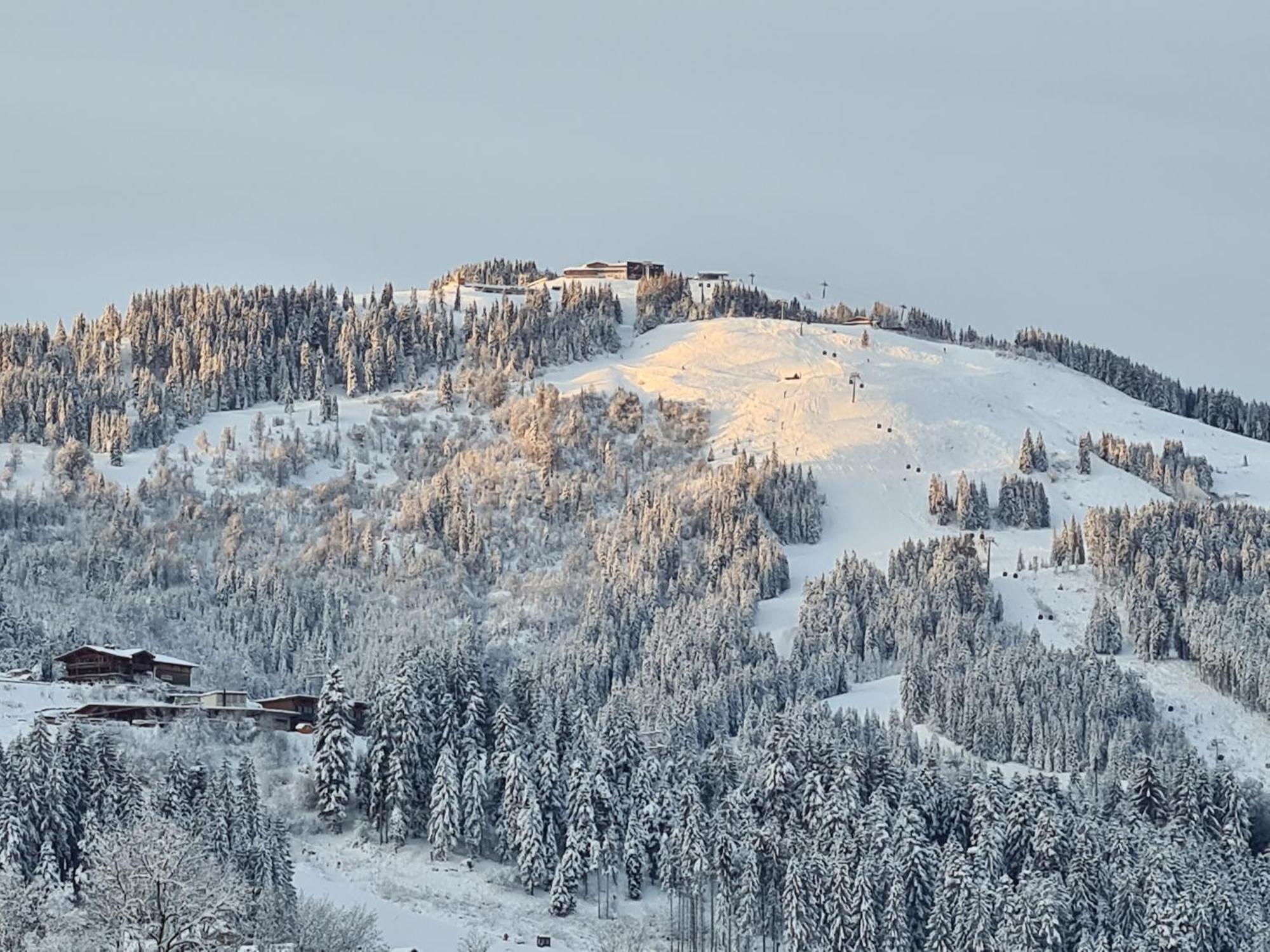 Ferienwohnung Going Easy Going am Wilden Kaiser Exterior foto